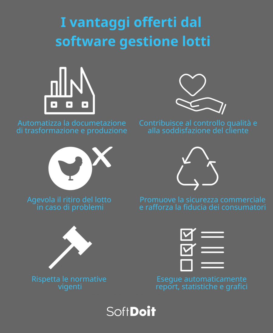 gestione lotti + infografica