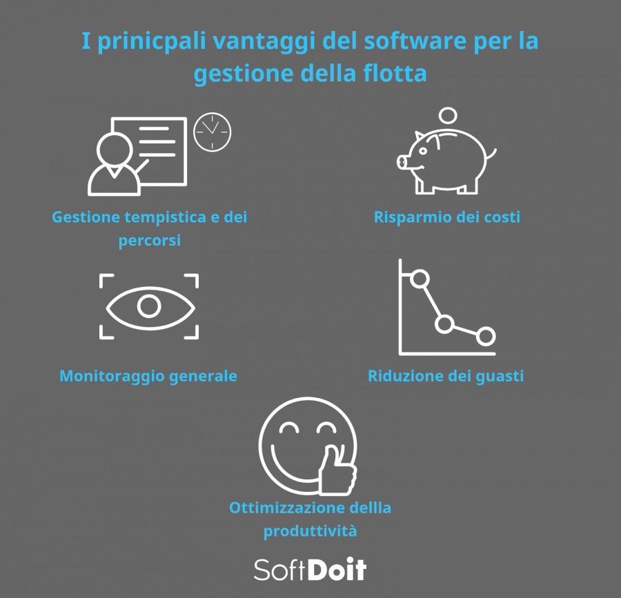 infografica + software gestione flotta aziendale