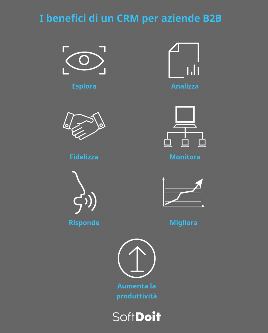 Infografica + crm B2B