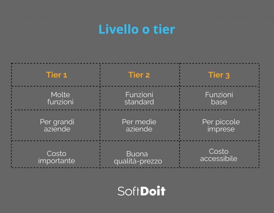 Altra catalogazione di ERP: in base al livello o Tier + infografica